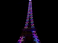 Paris 12-26-09 image 43